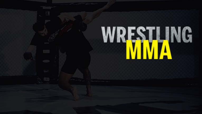 SEMINARIO DE WRESTLING PARA MMA TMC