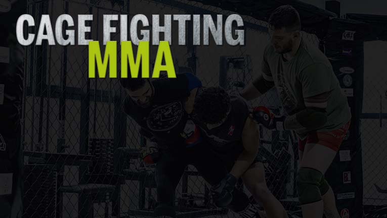 SEMINARIO DE CAGEFIGHTING TMC